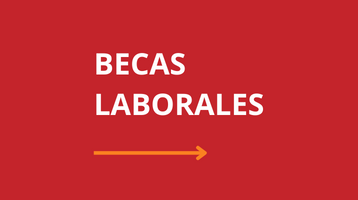 IMPORTANTE: Planes Formativos